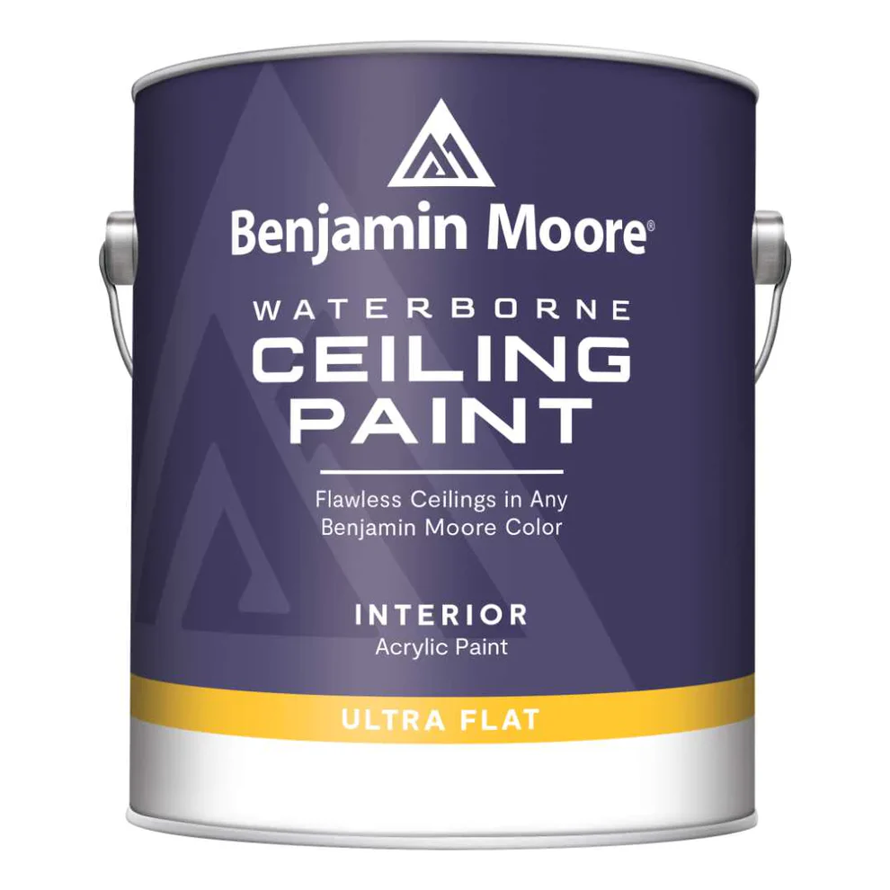 Ceiling paint